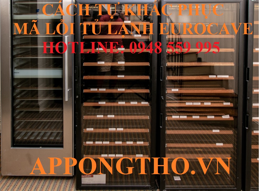 1. Khắc phục máy nén (E1) trên tủ rượu EuroCave