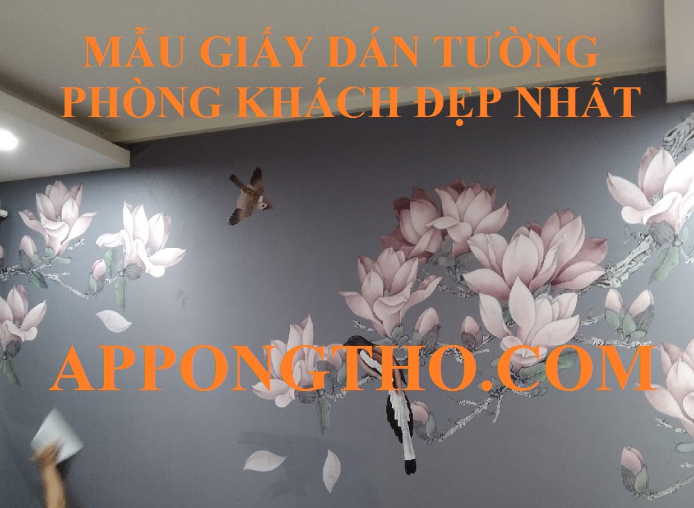 Dịch vụ giấy dán tường phòng khách chọn gói