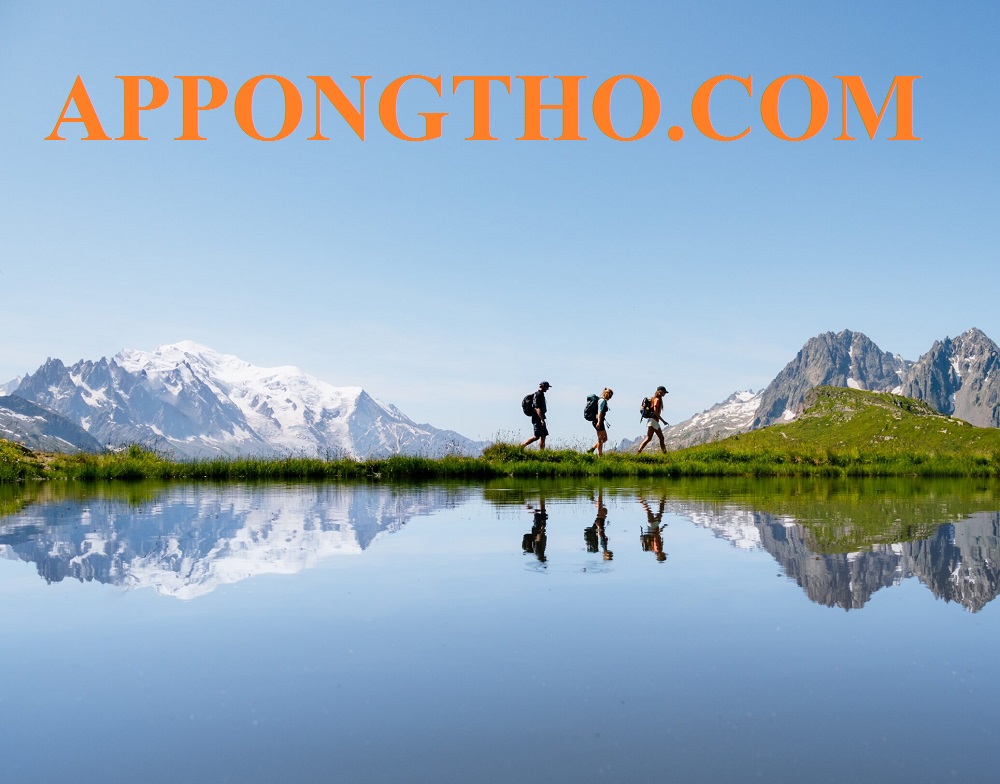 5. Cao Nguyên Đá Hùng Vĩ – Hà Giang Mùa Hoa