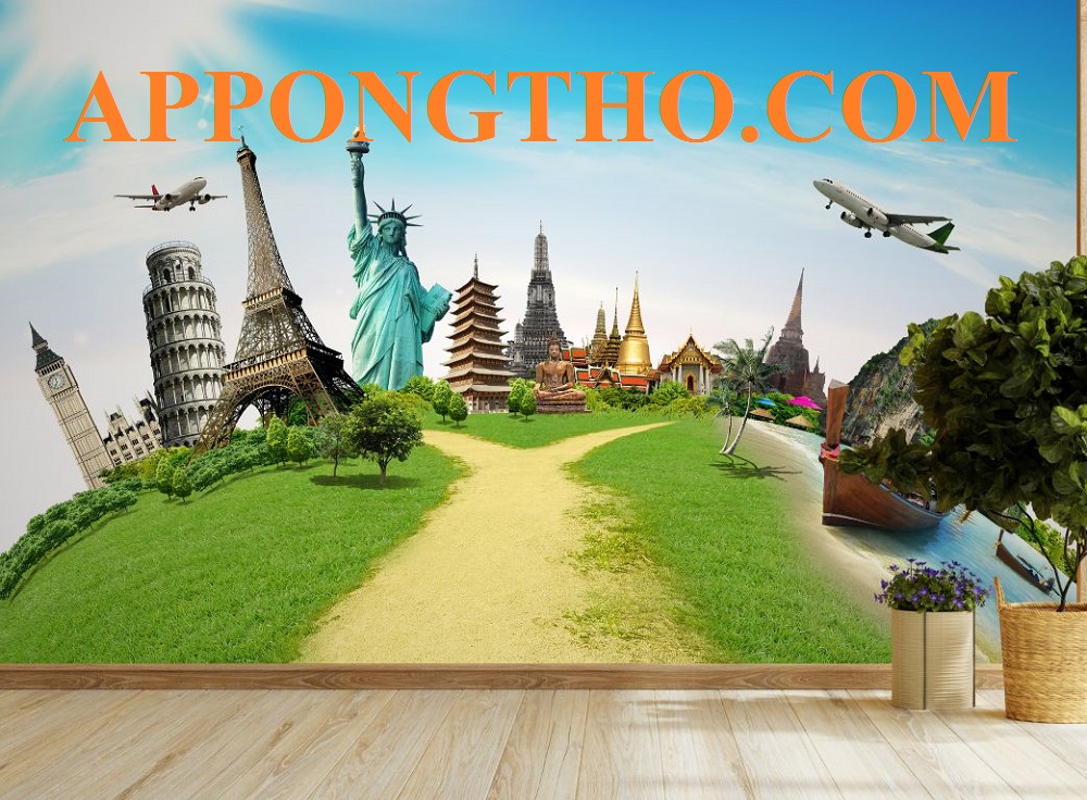 Tour du lịch là gì?