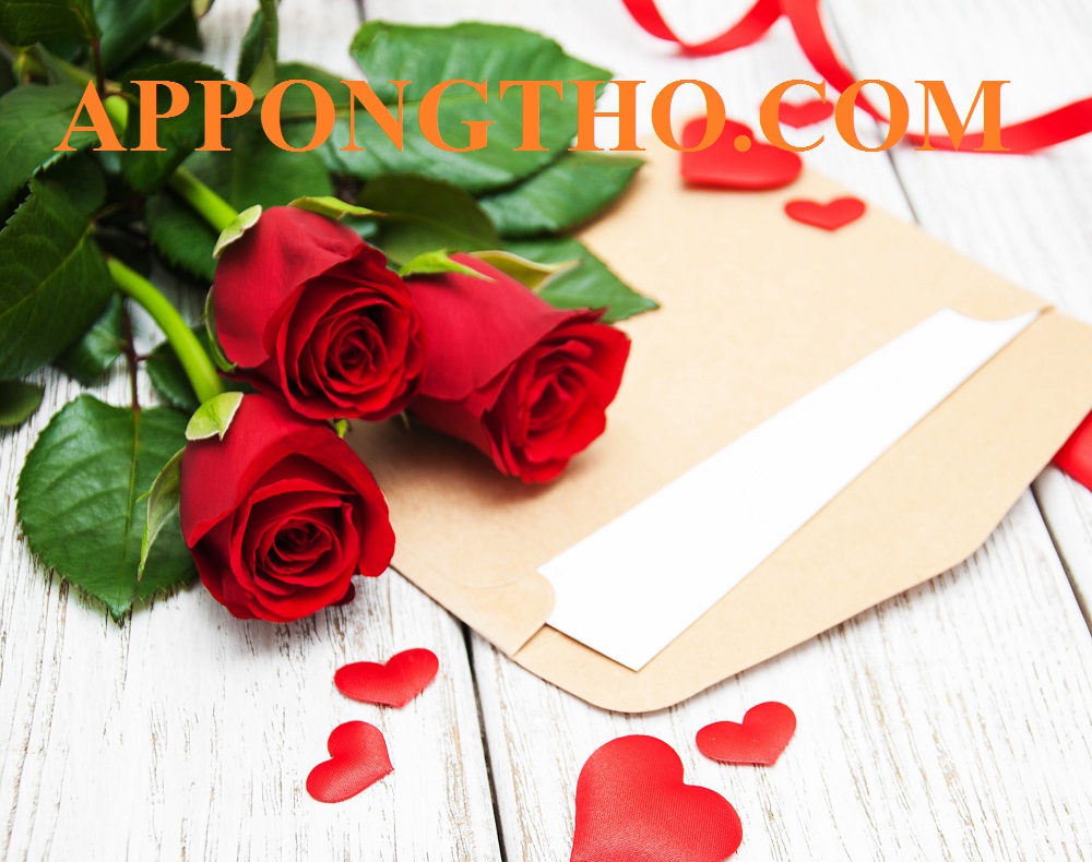 💌 Cách viết thư gửi cho người yêu ngắn gọn nhưng ý nghĩa