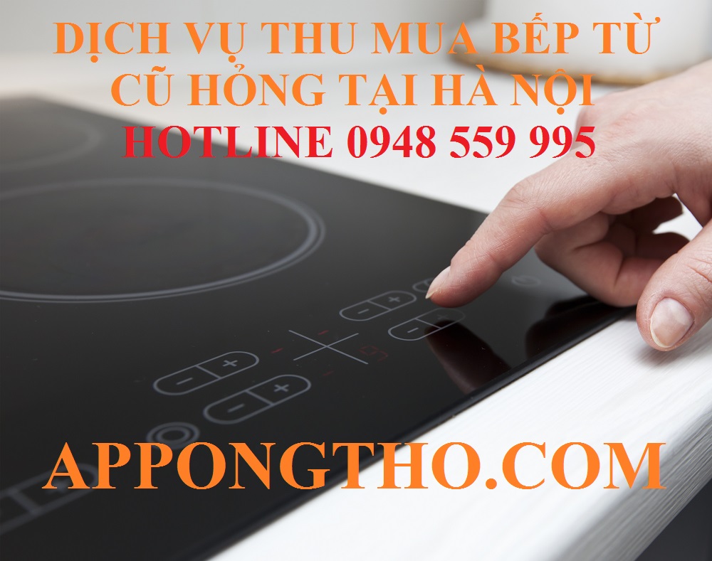 6. Thu mua bếp từ cũ hỏng tại Hoàng Mai - Hà Nội