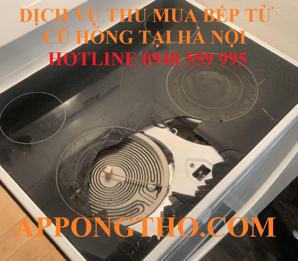 8. Thu mua bếp từ cũ hỏng tại Long biên - Hà Nội