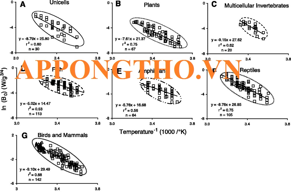 Năng lượng nghỉ là gì?