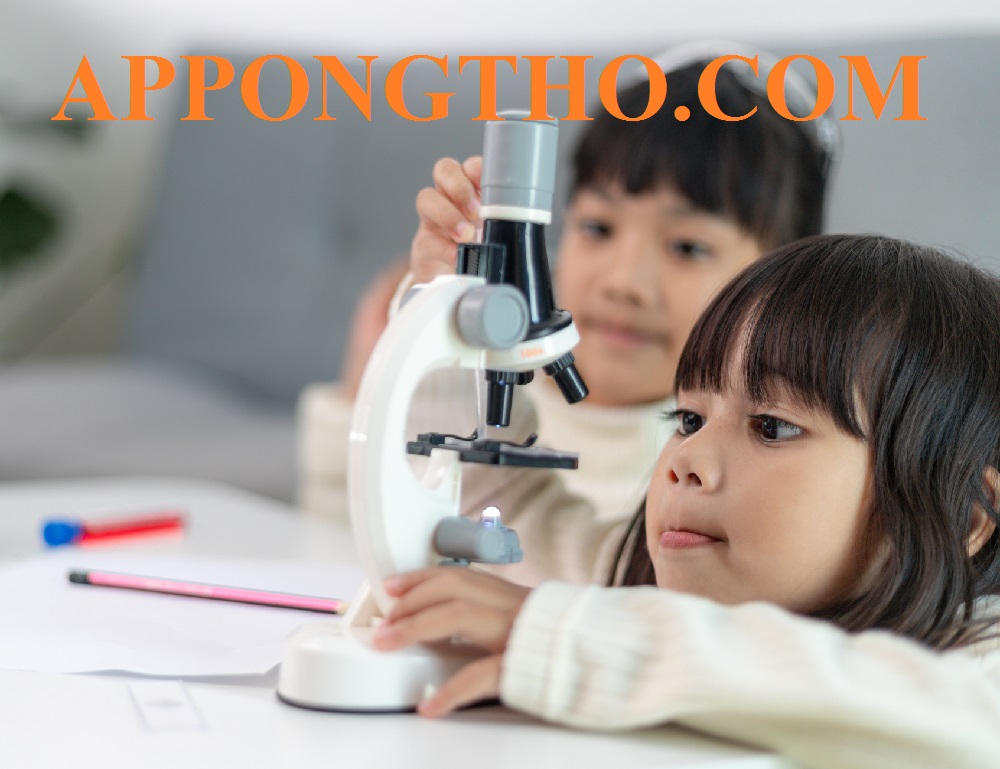 25 Nội Dung Khám Phá Khoa Học Cho Trẻ Mầm Non Hay Độc Đáo