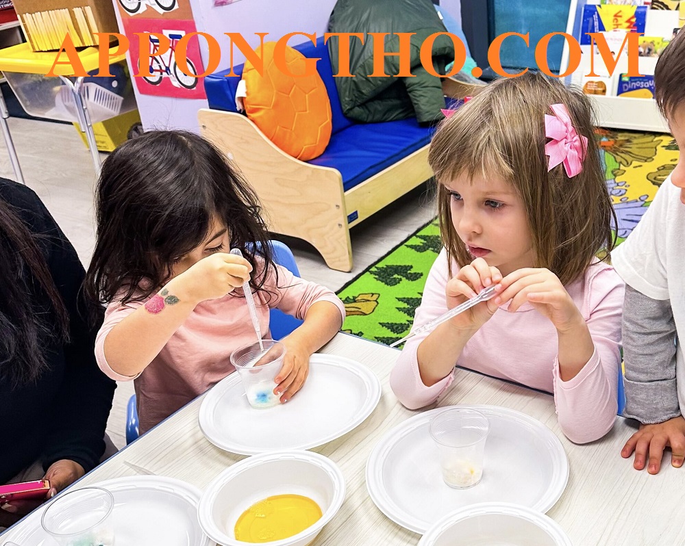 11. Khám phá các loại cây quen thuộc quanh trẻ