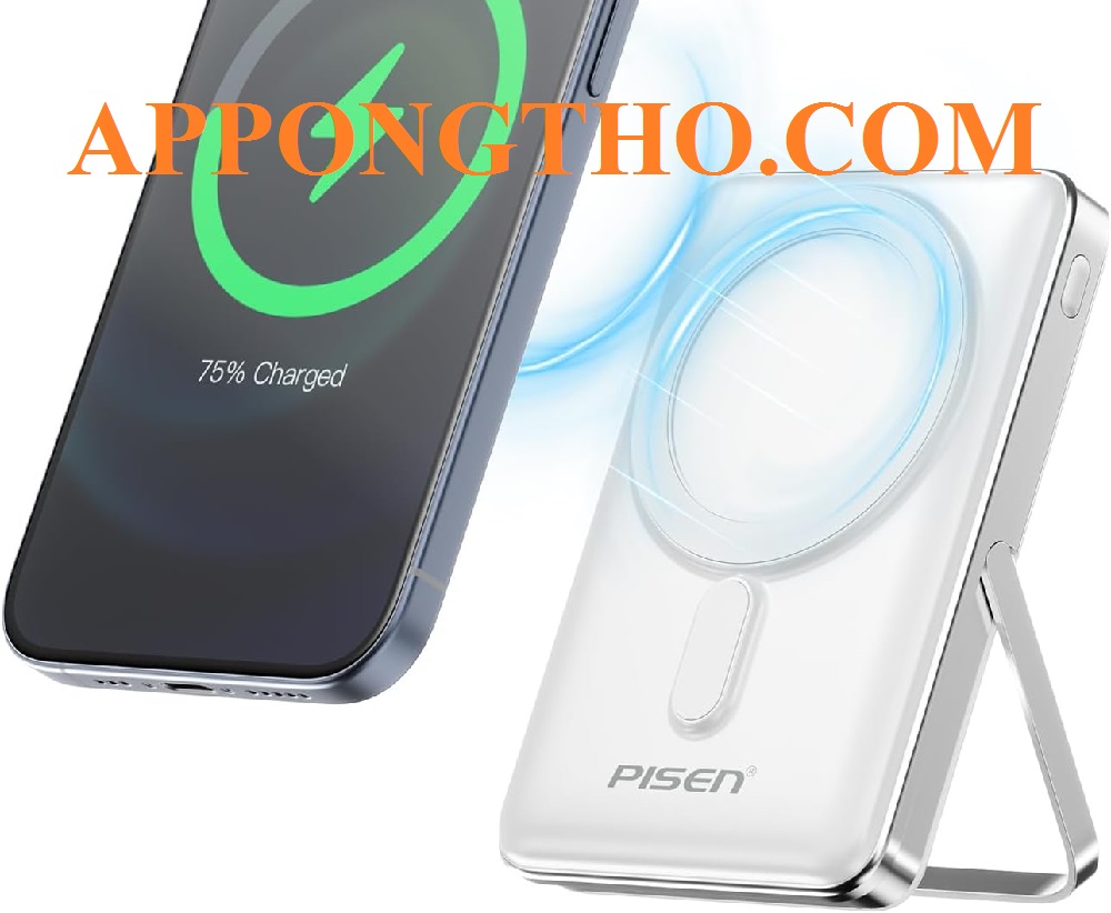 Pin EU và Pin Pisen là gì?