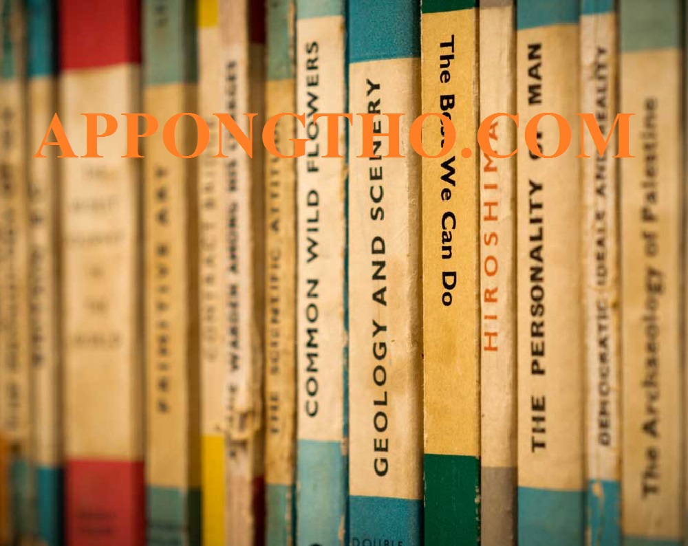 Understanding and Using English Grammar