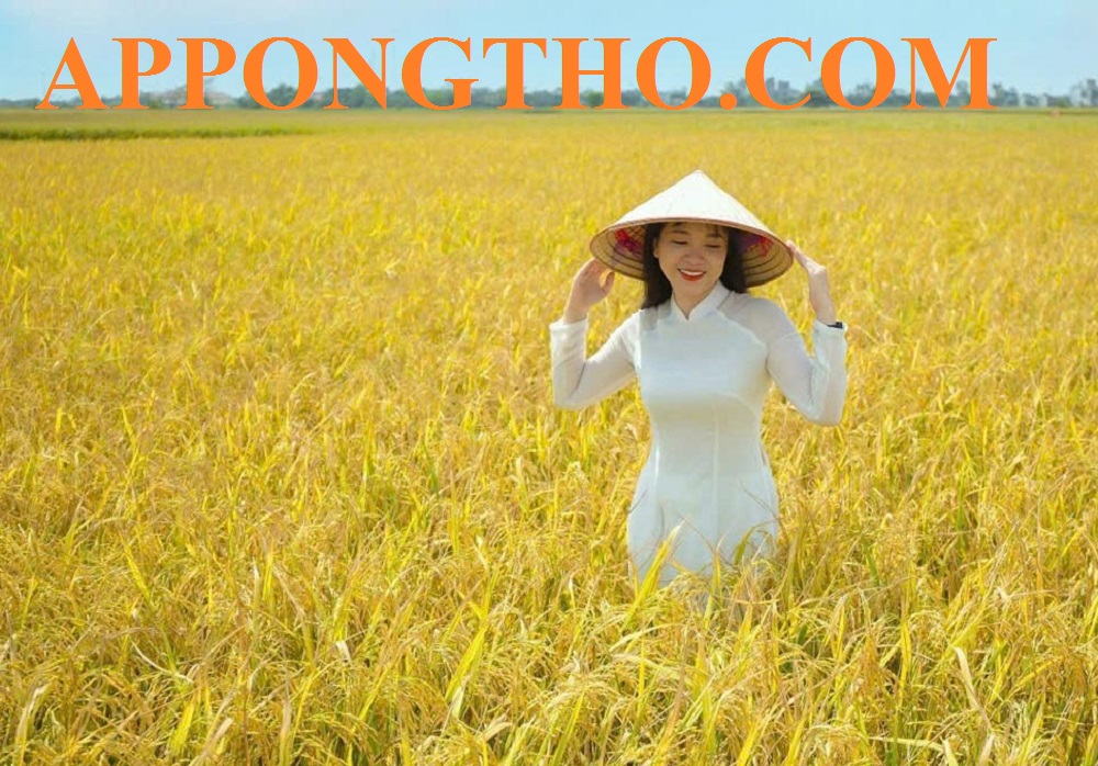 10. Stt thả thính nông dân miền Bắc, miền Nam?