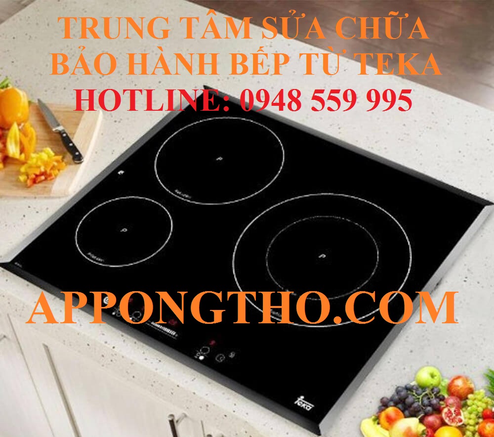 Trung tâm sửa chữa bảo hành bếp từ Teka là gì?