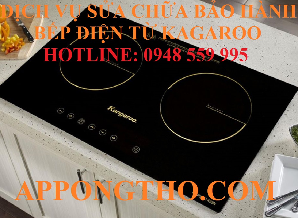 3 – Sửa chữa sau bảo hành bếp từ Kangaroo tại Đống Đa – Hà Nội