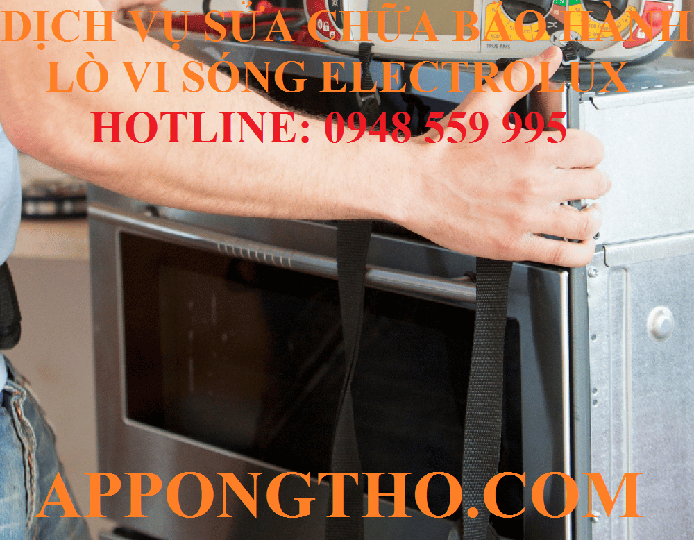 15. Sửa chữa bảo hành lò vi sóng Electrolux tại Hải Phòng – Hải Dương