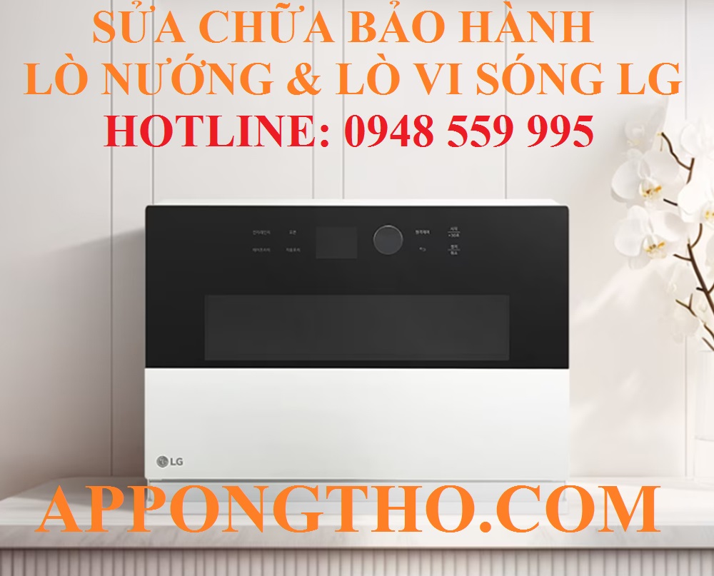 Sửa chữa bảo hành lò nướng, lò vi sóng LG là gì?