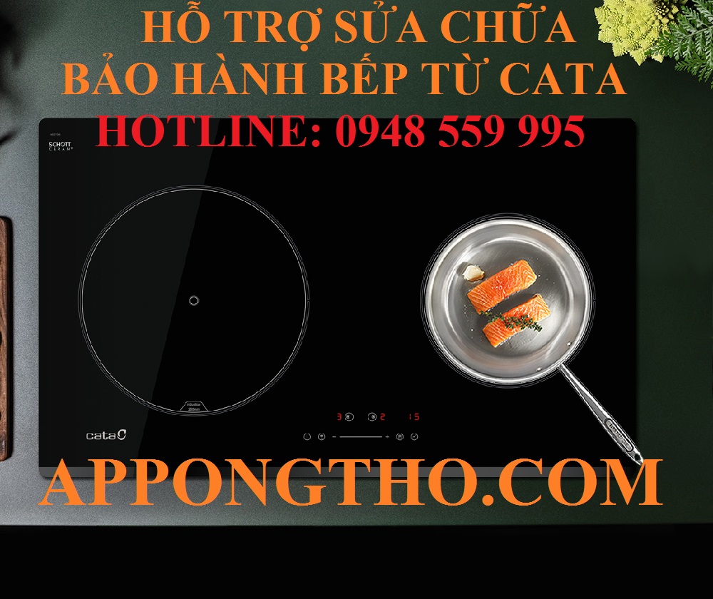 1 – DỊCH VỤ SỬA CHỮA BẢO HÀNH BẾP ĐIỆN TỪ CATA TẠI BA ĐÌNH - HÀ NỘI