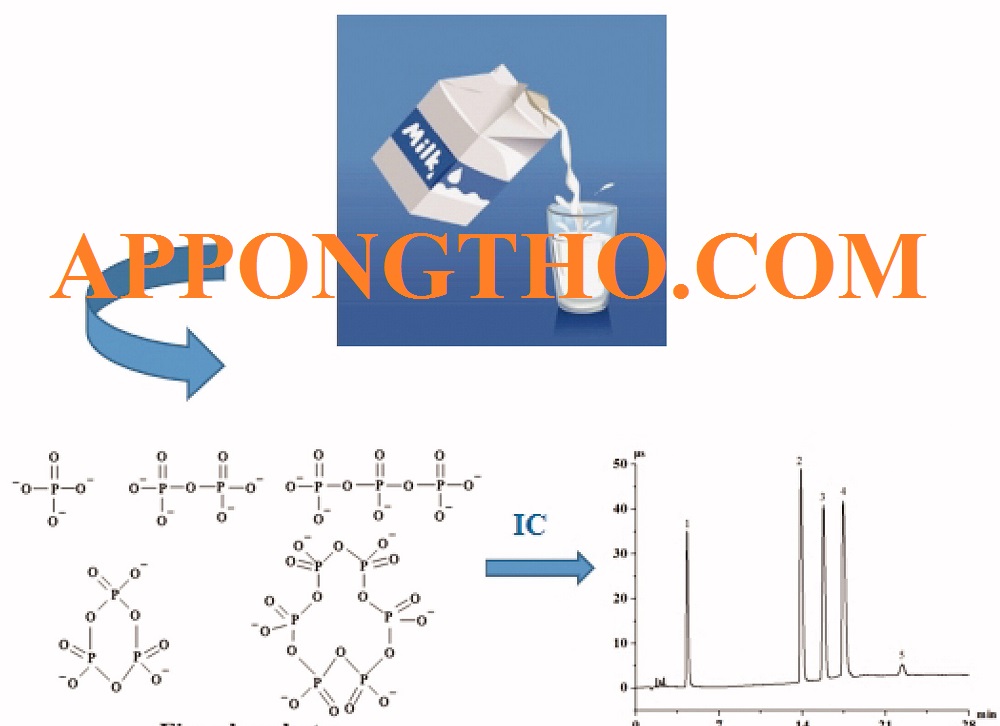 Quá trình đông tụ Protein