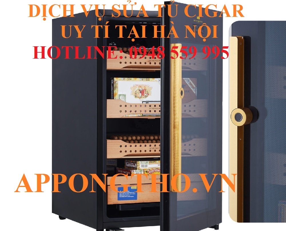 19. Sửa chữa tủ CIGAR tại Mê Linh - Hà Nội