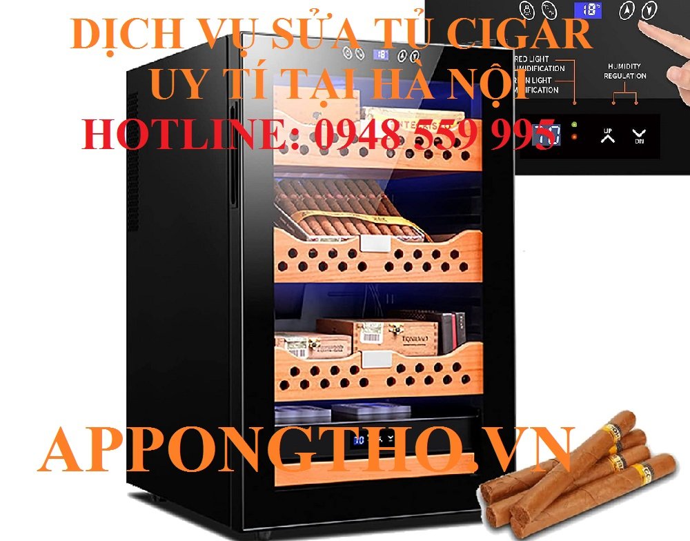 13. Sửa chữa tủ CIGAR tại Ba Vì - Hà Nội