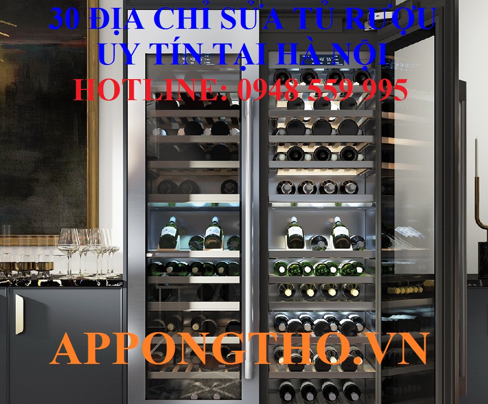 15. Sửa chữa bảo hành các hãng tủ rượu tại Đông Anh - Hà Nội