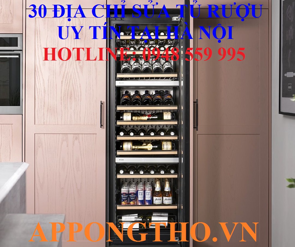 Tầm quan trọng của dịch vụ sửa tủ rượu tại nhà