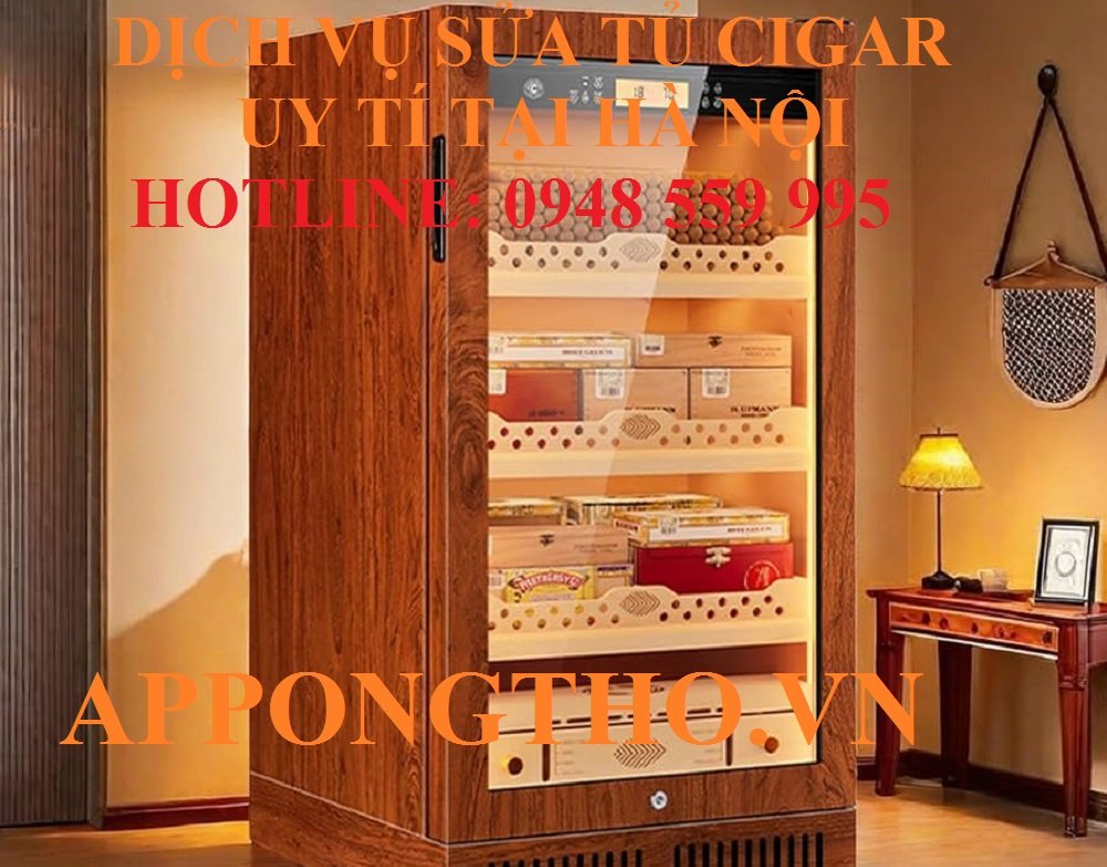 6. Sửa tủ xì gà tại Thanh Xuân - Hà Nội