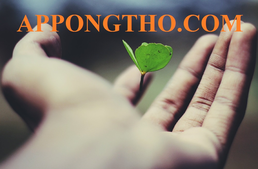 (FAQ) Hỏi đáp về thách thức