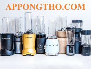 10 Thương Hiệu Sản Xuất Máy Xay Sinh Tố Tốt Nhất Đáng Mua