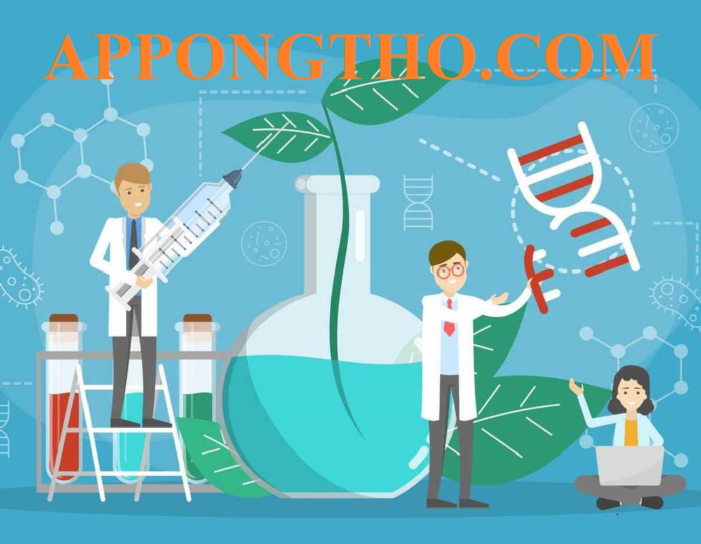 18. Tầm quan trọng của cỡ mẫu trong nghiên cứu? 📈