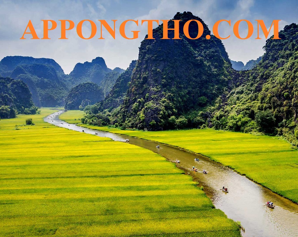 # 6. Thanh Hóa