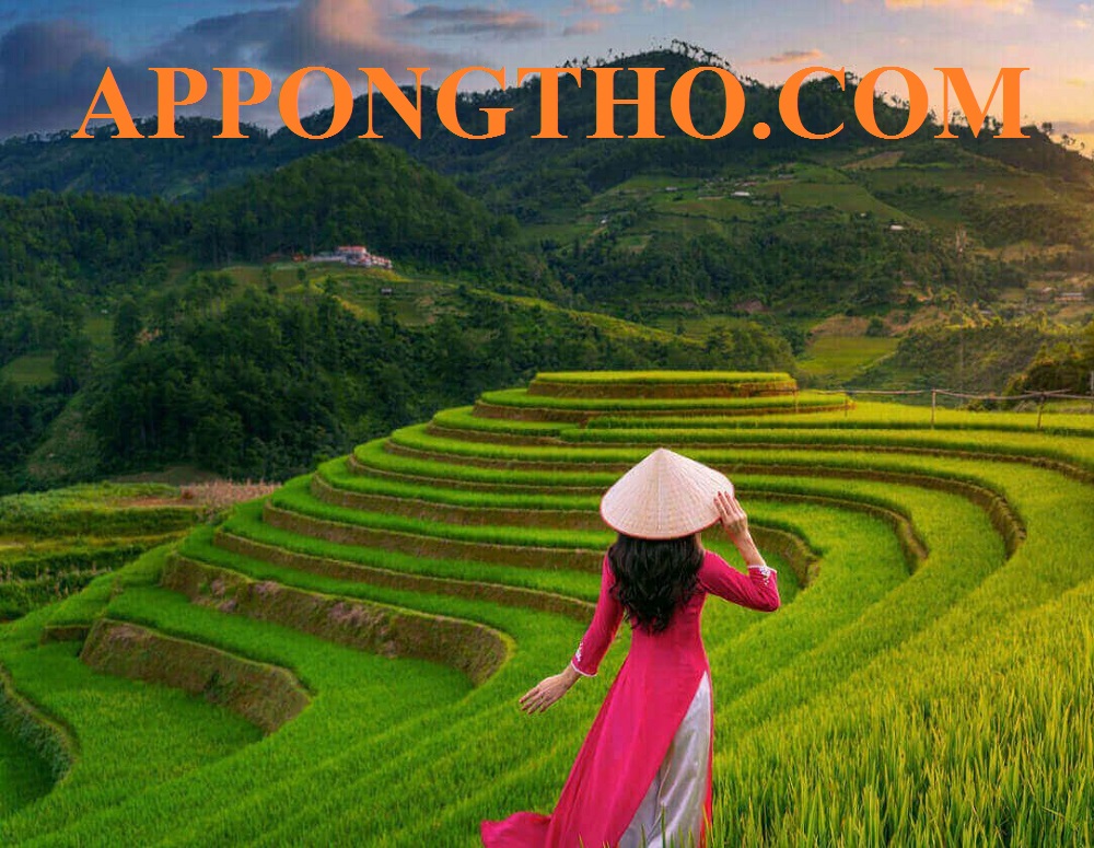 .7. Tỉnh Tây Ninh ☀️