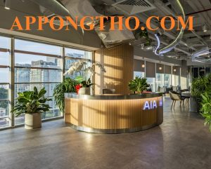 Nest By Aia là gì? 20 Trụ Sở Nest By Aia Toàn Quốc Uy Tín