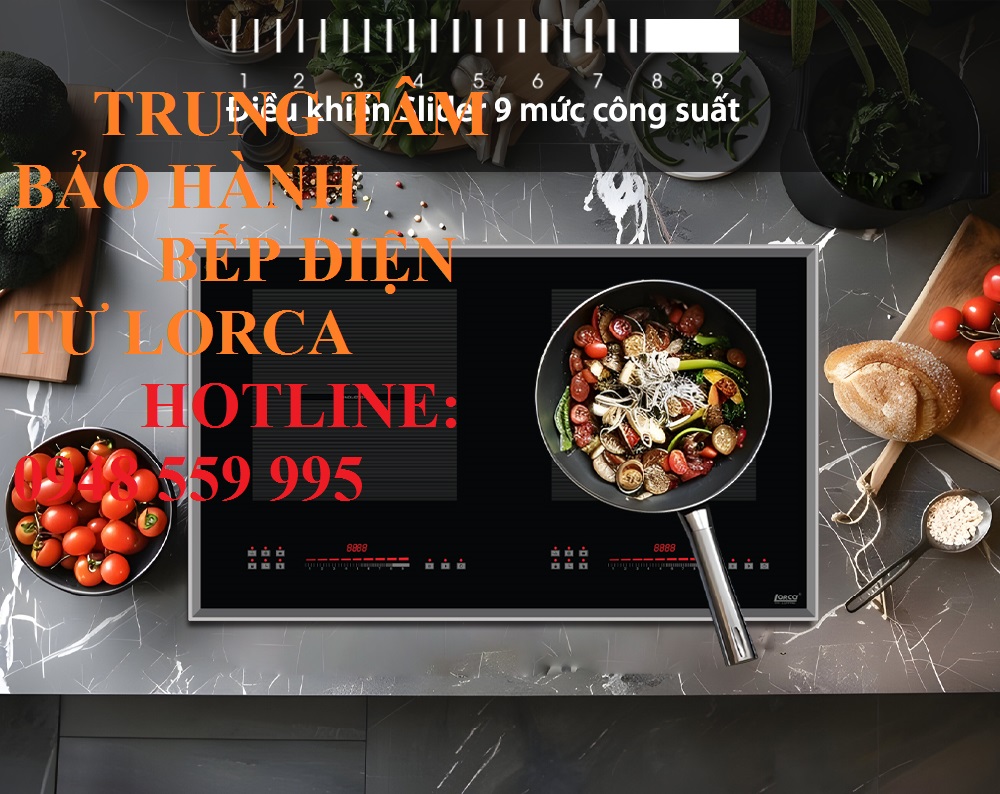 Trung tâm bảo hành bếp điện từ Loca tại Hà Đông - Hà Nội