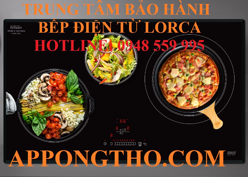 Trung tâm bảo hành bếp điện từ Loca tại Cầu Giấy - Hà Nội