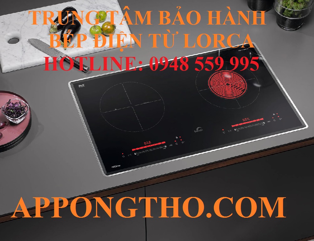 40+ Trung tâm bảo hành bếp điện từ Lorca Toàn Quốc
