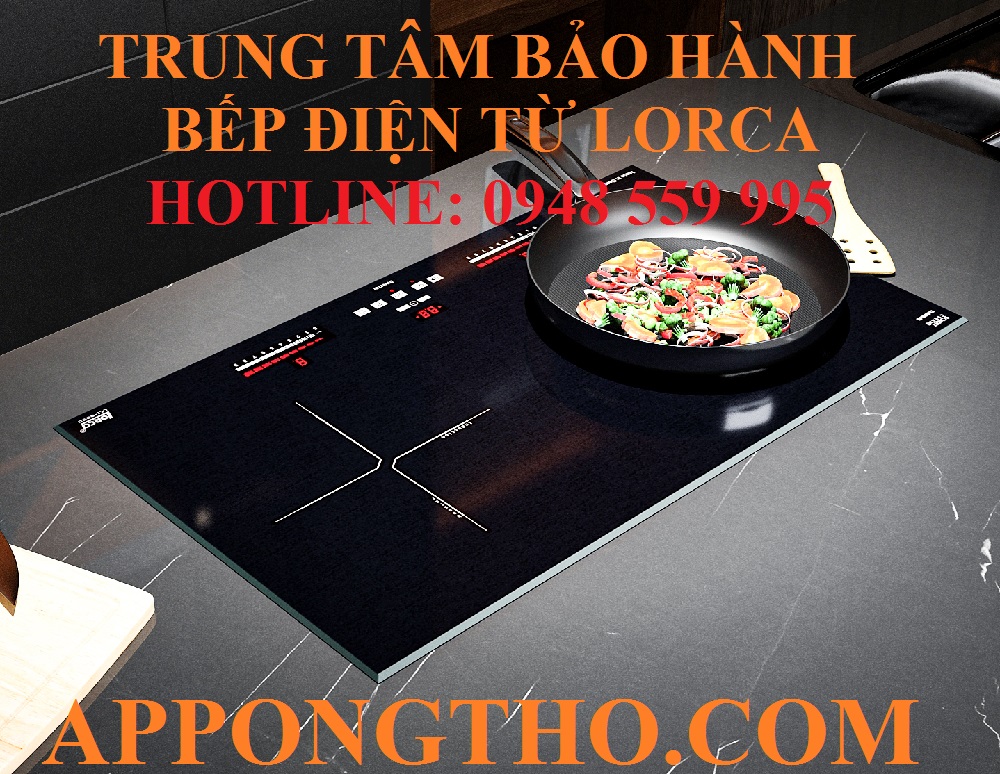 Bảo hành bếp điện từ Lorca ủy quyền là gì?