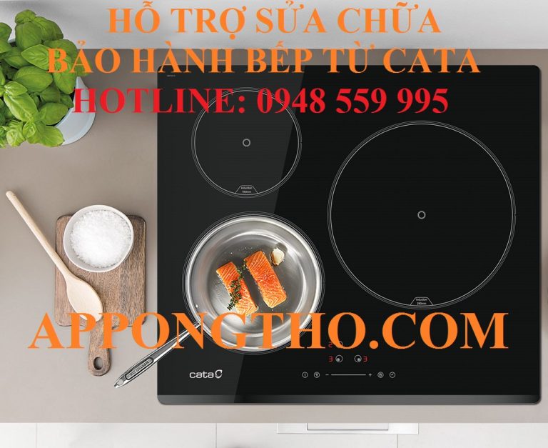 Trung Tâm Sửa Chữa Bảo Hành Bếp Điện Từ Cata Trên Toàn Quốc