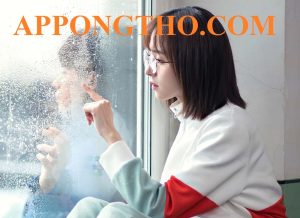 15 Truyện Ngắn Nữ Chính Yêu Đơn Phương Hấp Dẫn Hay Nhất