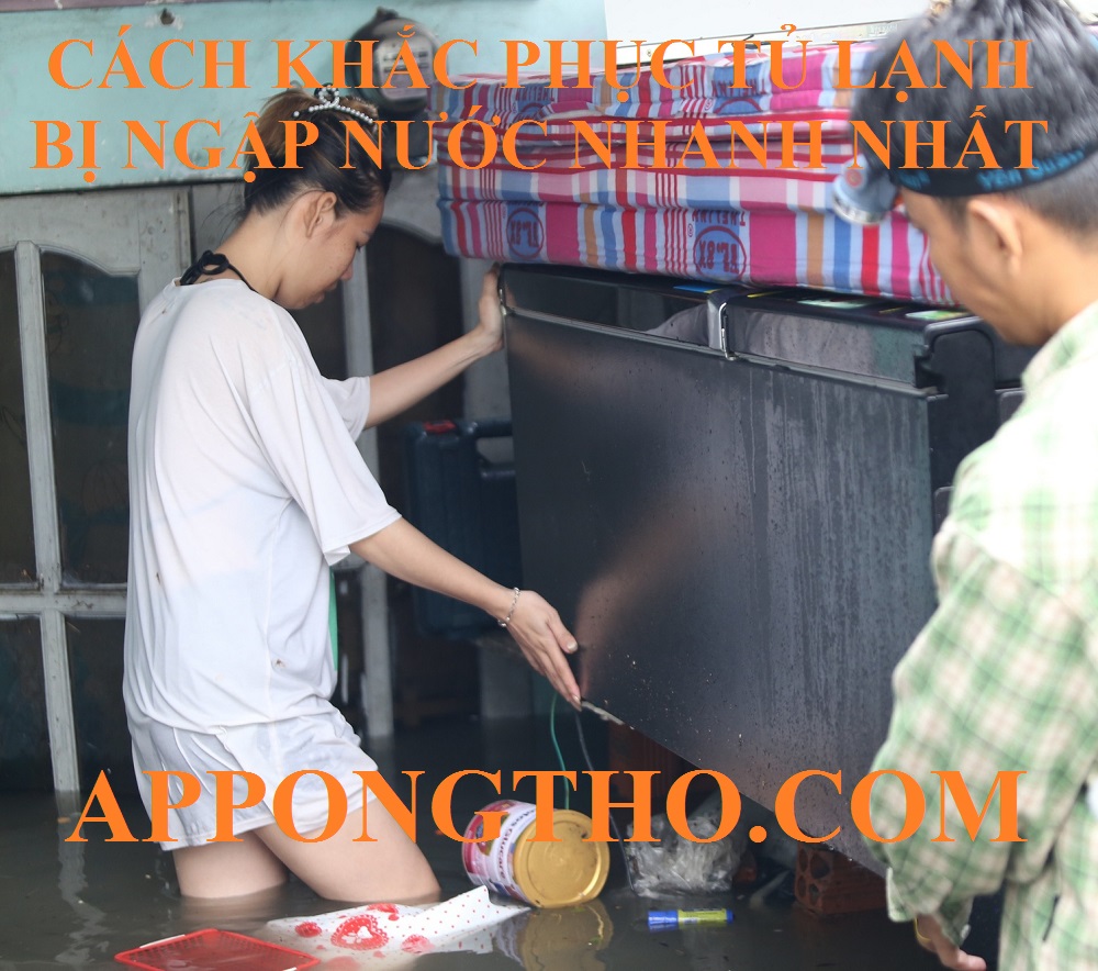 Dịch vụ sửa chữa tủ lạnh bị ngập nước tại nhà