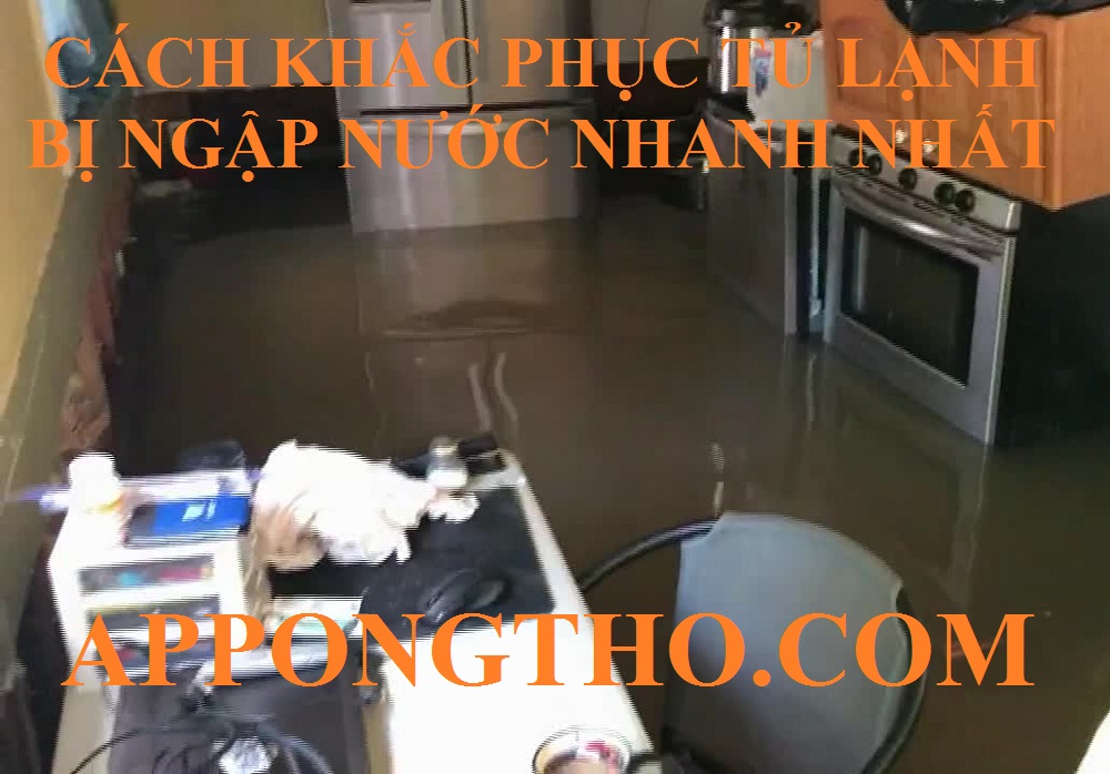 5 Dấu hiệu tủ lạnh đang bị ngập nước