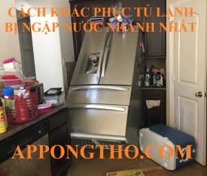 15 Cách Xử Lý Tủ Lạnh Bị Ngập Nước Không Cần Gọi Thợ