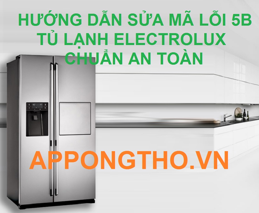 Quy Trình Sửa Lỗi 5B Tủ Lạnh Electrolux 24 Bước Chuẩn An Toàn