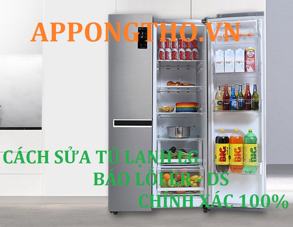 Sử Lý Tủ lạnh LG báo lỗi ER - DS ở dòng LG side by side