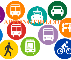 Phương Tiện Lưu Thông Là Gì? 15 Ví Dụ Về Phương Tiện Lưu Thông