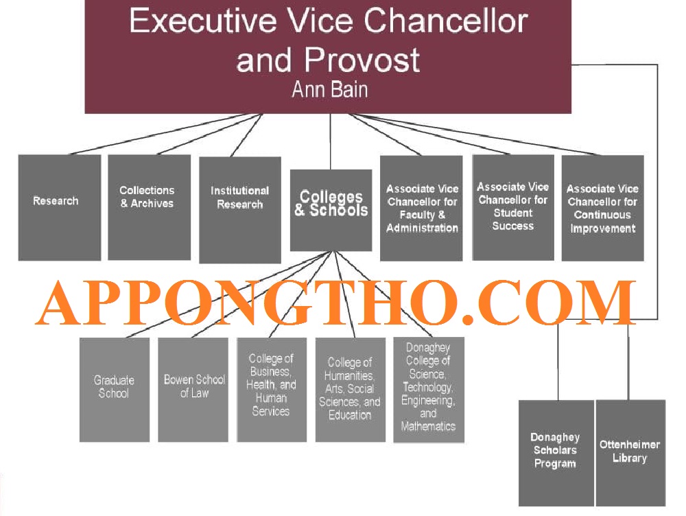 Giáo Vụ Trong Tiếng Anh Là Gì? Vị Trí Việc Làm Giáo Vụ Trong tiếng Anh