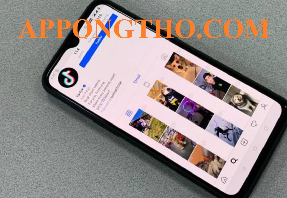 Hướng Dẫn Xem Tiktok Kiếm Tiền Thật chuẩn 100% được tiền