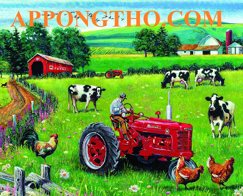 Xưởng cung cấp trái cây sạch