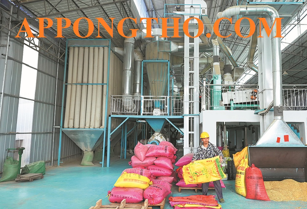 Tốp 15 mô hình ý tưởng sản xuất ở nông thôn tốt nhất